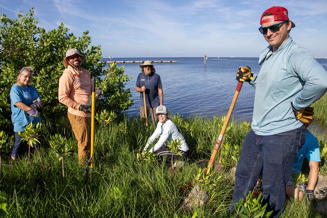 Mangrove Planting 5.jpg